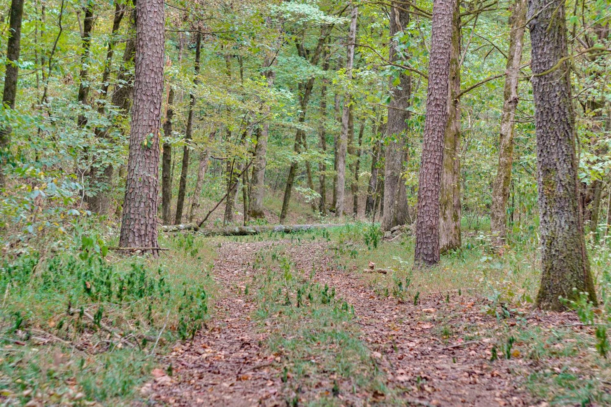 Ozark Mountain Cabin Rental On 300-Acre Ranch Bagian luar foto